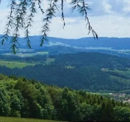 Apartment Traumblick Bayerischer Wald, Pool & Sauna, Getraenke, Klimaanlage *