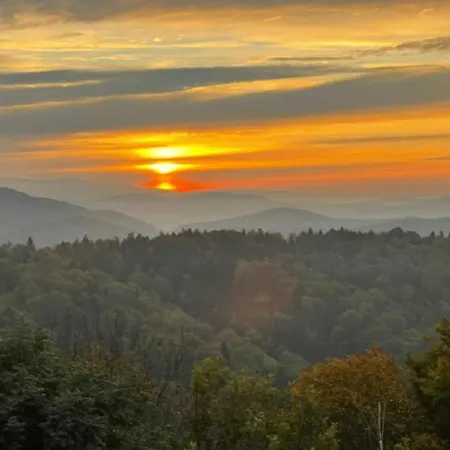 Traumblick Bayerischer Wald, Pool & Sauna, Getraenke, Klimaanlage Lejlighed