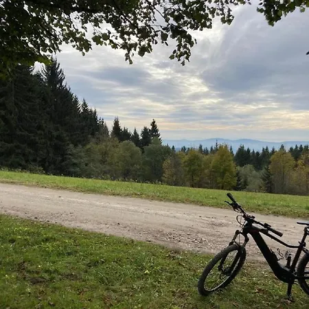 Traumblick Bayerischer Wald, Pool & Sauna, Getraenke, Klimaanlage * フライウング