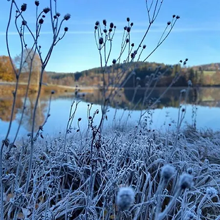 Traumblick Bayerischer Wald, Pool & Sauna, Getraenke, Klimaanlage 弗赖翁