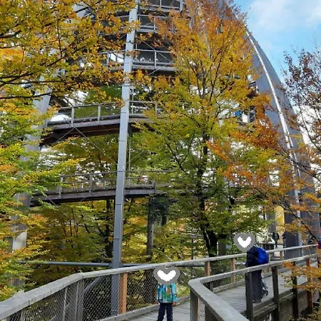 Traumblick Bayerischer Wald, Pool & Sauna, Getraenke, Klimaanlage * フライウング