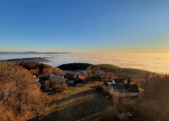 Traumblick Bayerischer Wald, Pool&sauna, Getränke, Klimaanlage Apartment *
