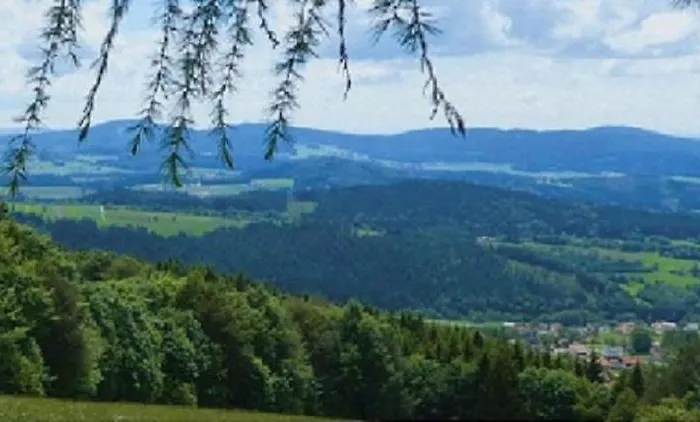 Apartment Traumblick Bayerischer Wald, Pool&sauna, Getränke, Klimaanlage *