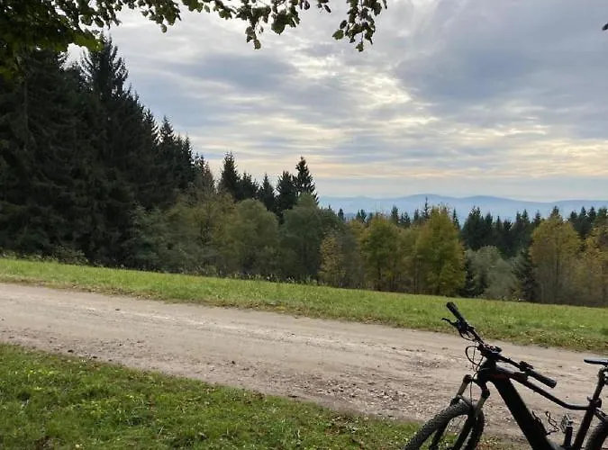 Traumblick Bayerischer Wald, Pool&sauna, Getränke, Klimaanlage * Freyung