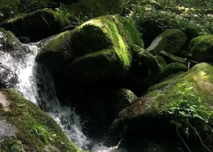 Traumblick Bayerischer Wald, Pool&sauna, Getränke, Klimaanlage