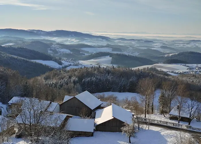 Apartment Traumblick Bayerischer Wald, Pool&sauna, Getränke, Klimaanlage