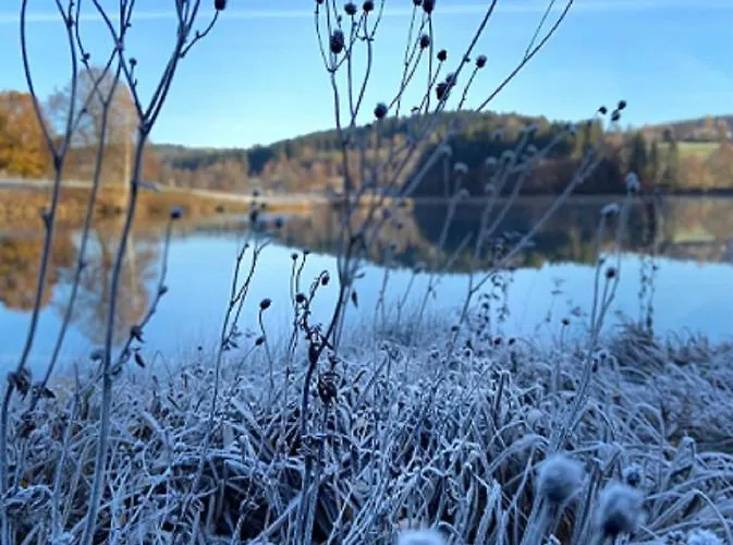 Traumblick Bayerischer Wald, Pool&sauna, Getränke, Klimaanlage Freyung