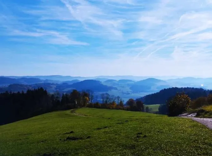 Traumblick Bayerischer Wald, Pool&sauna, Getränke, Klimaanlage Apartment