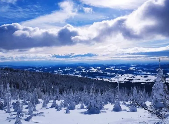 Traumblick Bayerischer Wald, Pool&sauna, Getränke, Klimaanlage * Freyung