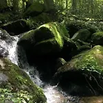 Traumblick Bayerischer Wald, Pool & Sauna, Getraenke, Klimaanlage