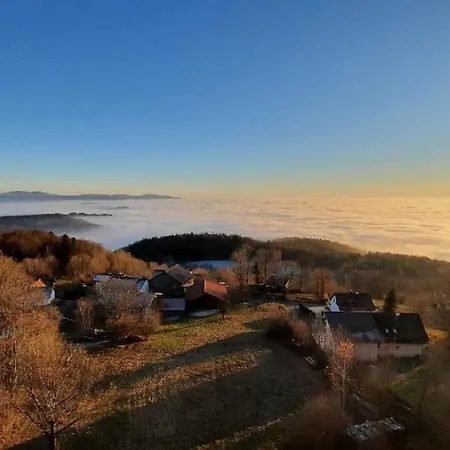 Traumblick Bayerischer Wald, Pool&sauna, Getränke, Klimaanlage Apartment *