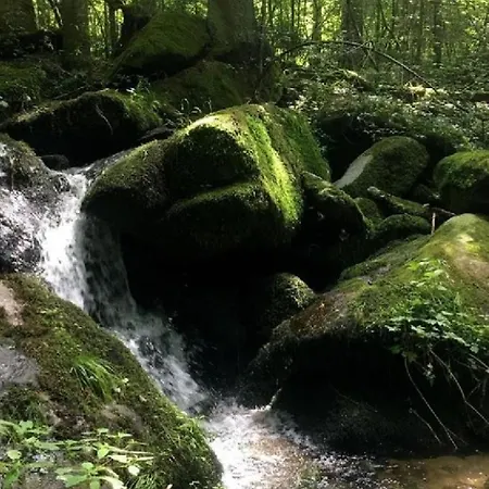 Traumblick Bayerischer Wald, Pool & Sauna, Getraenke, Klimaanlage