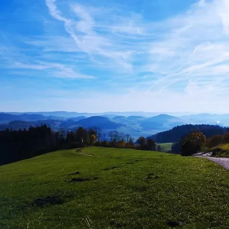 Traumblick Bayerischer Wald, Pool & Sauna, Getraenke, Klimaanlage Appartamento