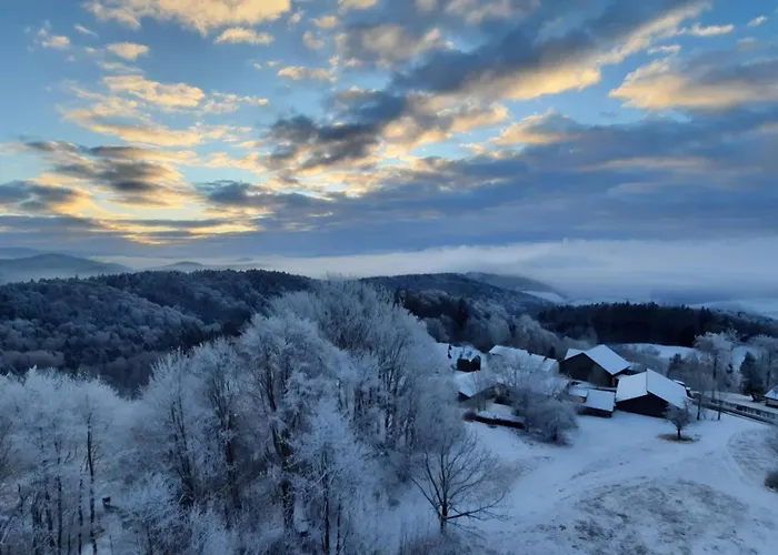 Traumblick Bayerischer Wald, Pool & Sauna, Getraenke, Klimaanlage *